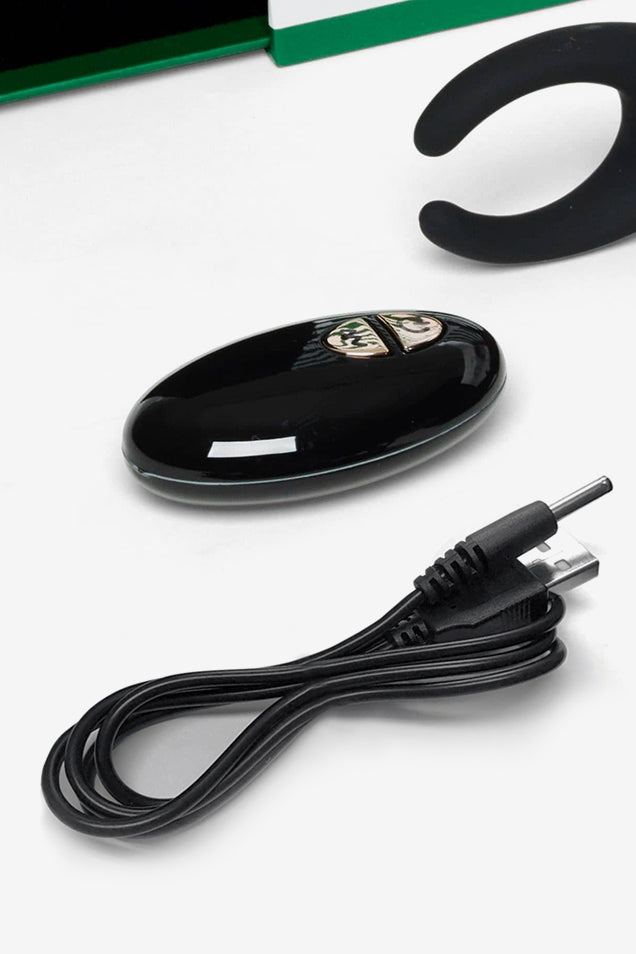 Charger Scorpio